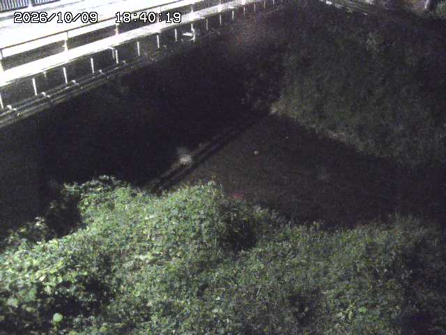 見槻川１2026/10/09 19:40