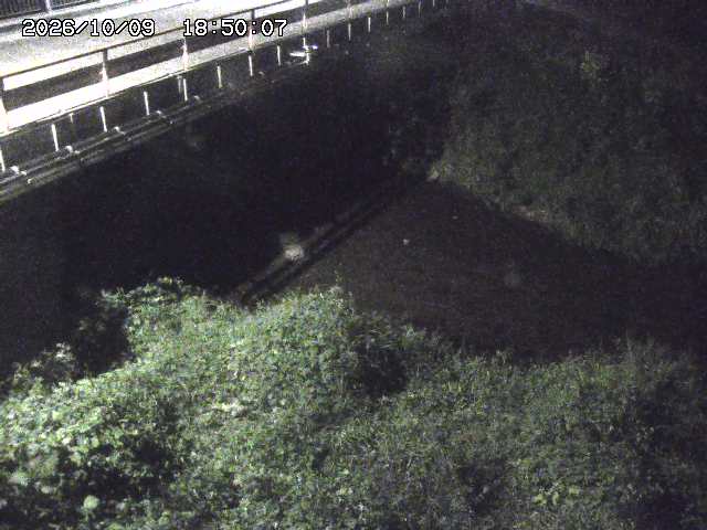 見槻川１2026/10/09 19:40
