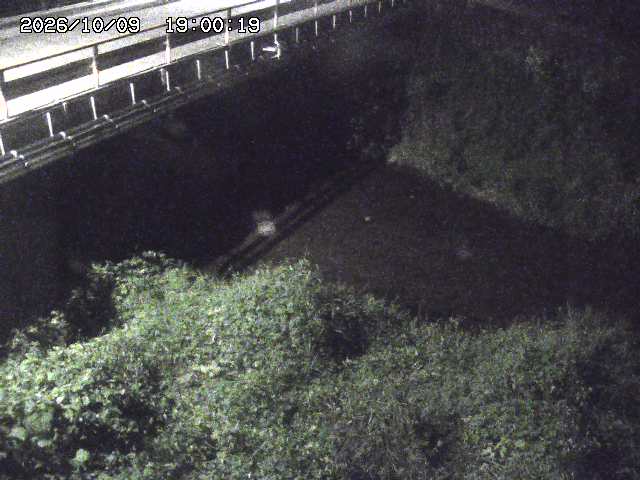見槻川１2026/10/09 19:40