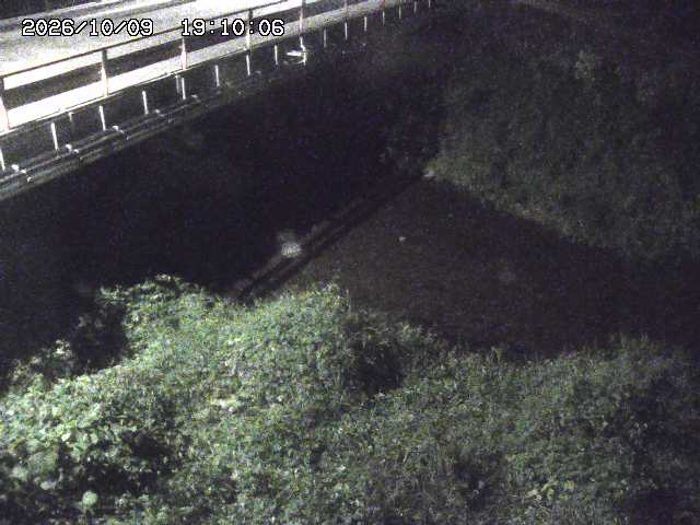 見槻川１2026/10/09 19:40