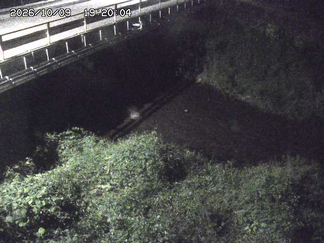 見槻川１2026/10/09 19:40