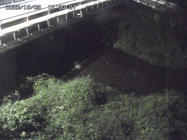 見槻川１2026/10/09 19:40