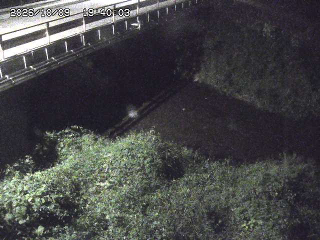 見槻川１2026/10/09 19:40