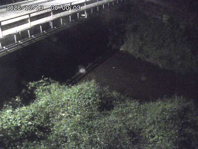 見槻川１2026/10/13 14:30:00