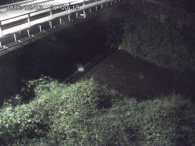 見槻川１2026/10/13 14:30:00