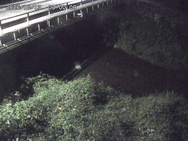 見槻川１2026/10/13 14:30:00