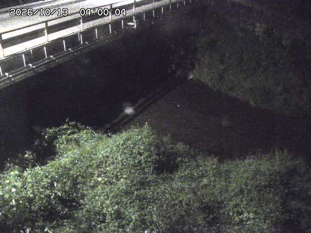 見槻川１2026/10/13 14:30:00