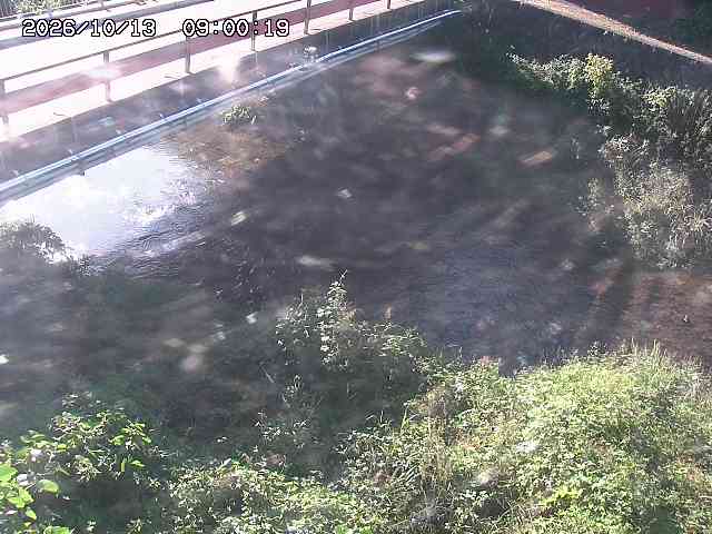 見槻川１2026/10/13 14:30:00