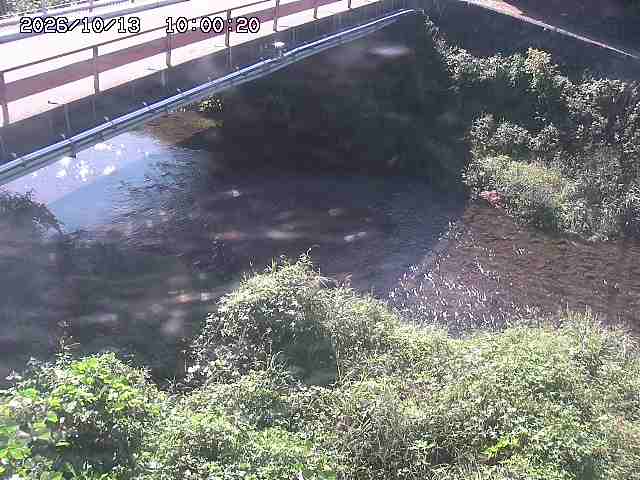 見槻川１2026/10/13 14:30:00