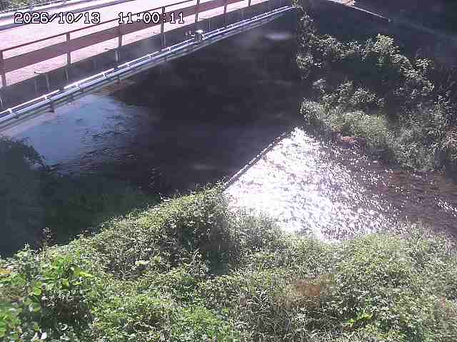 見槻川１2026/10/13 14:30:00