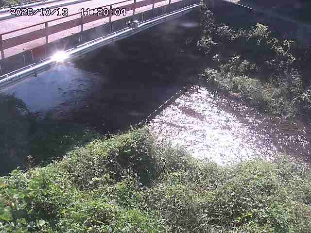 見槻川１2026/10/13 14:30:00