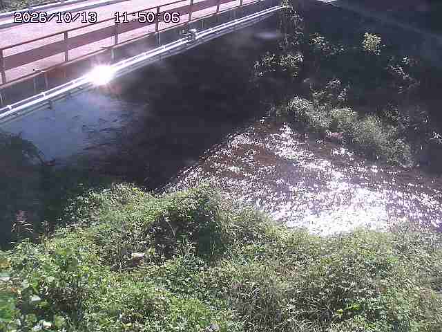 見槻川１2026/10/13 14:30:00