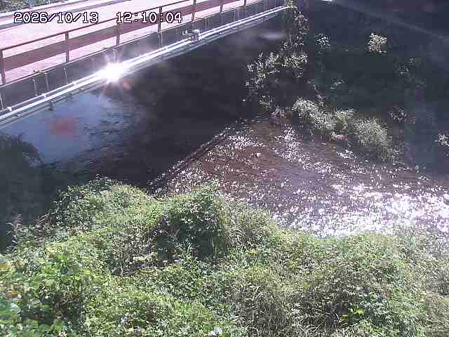 見槻川１2026/10/13 14:30:00