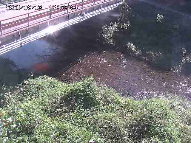 見槻川１2026/10/13 14:30:00