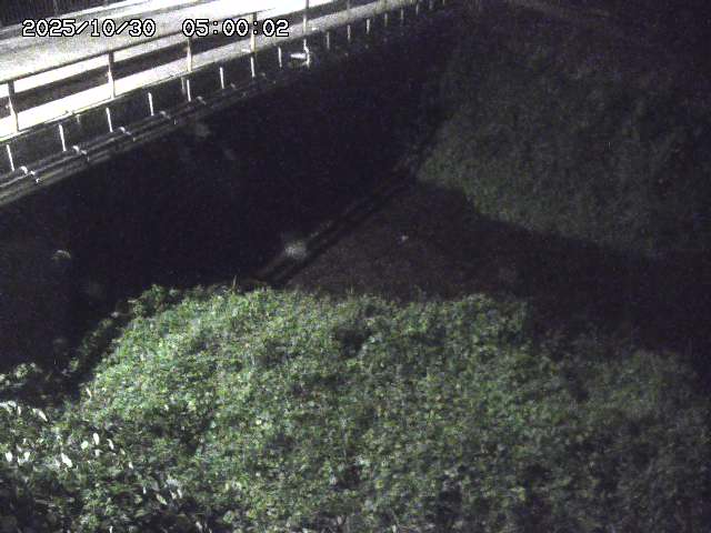 見槻川12025/10/31 02:10