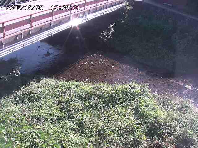 見槻川12025/10/31 02:10