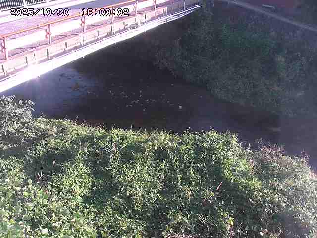 見槻川12025/10/31 02:10