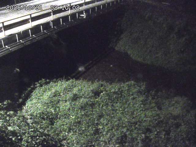 見槻川12025/10/31 02:10
