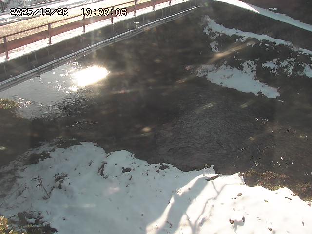 見槻川１2025/12/29 9:50:00