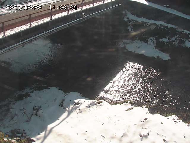 見槻川１2025/12/29 9:50:00