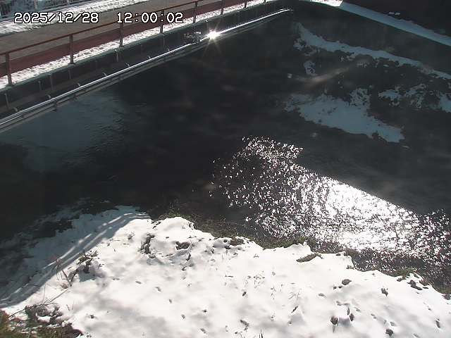 見槻川１2025/12/29 9:50:00