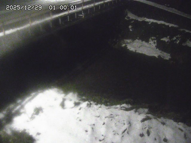 見槻川１2025/12/29 9:50:00