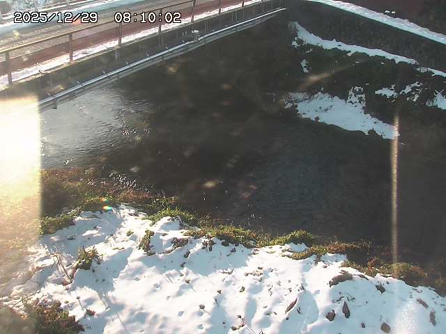 見槻川１2025/12/29 9:50:00