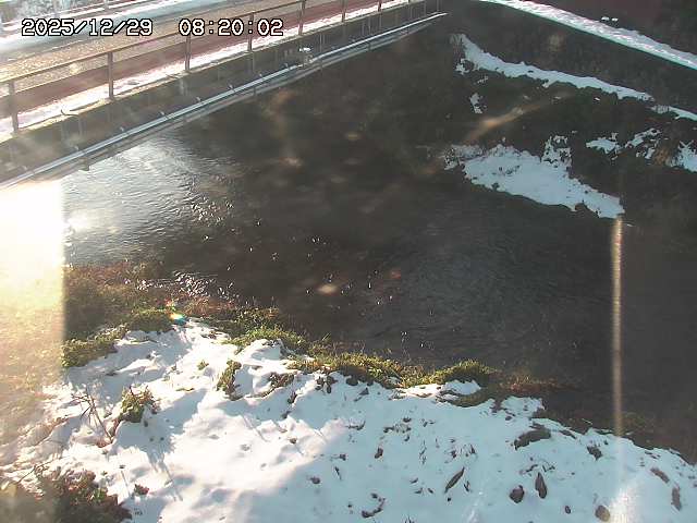 見槻川１2025/12/29 9:50:00