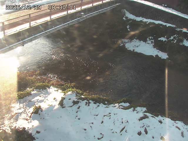 見槻川１2025/12/29 9:50:00