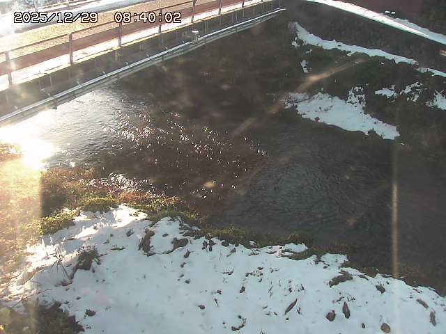 見槻川１2025/12/29 9:50:00