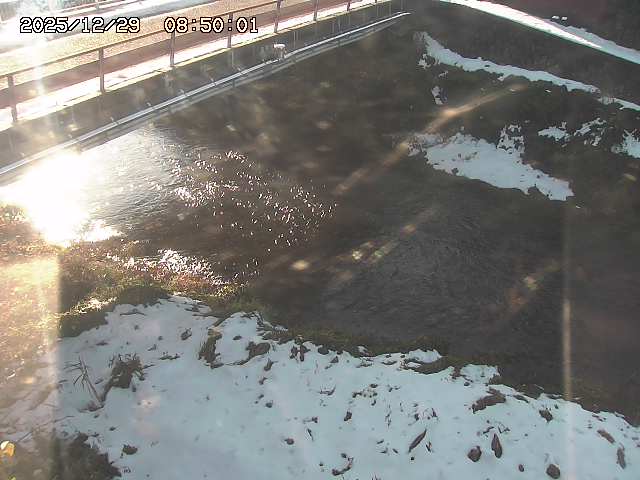 見槻川１2025/12/29 9:50:00
