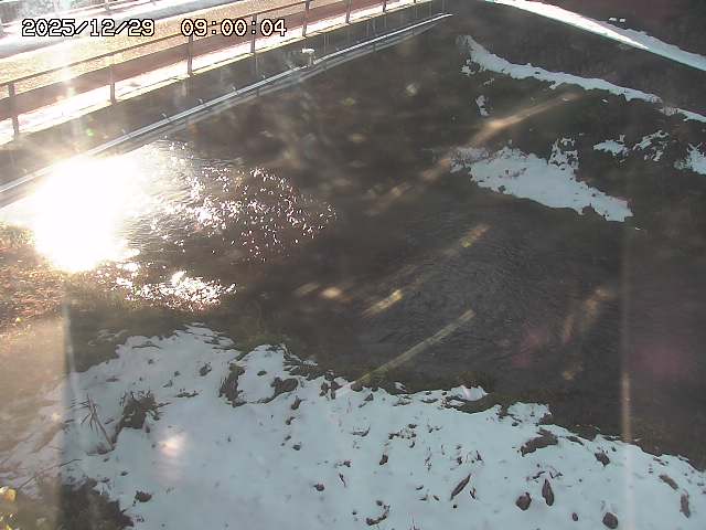 見槻川１2025/12/29 9:50:00