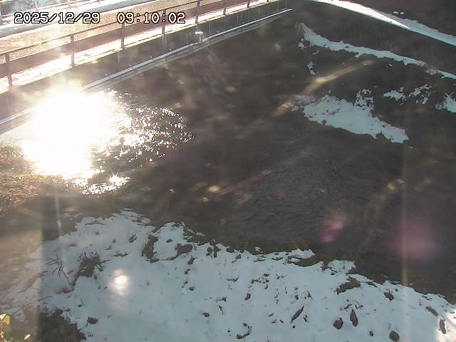 見槻川１2025/12/29 9:50:00