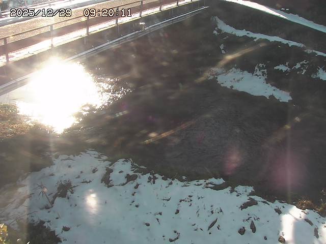 見槻川１2025/12/29 9:50:00