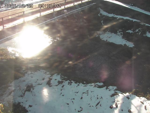 見槻川１2025/12/29 9:50:00