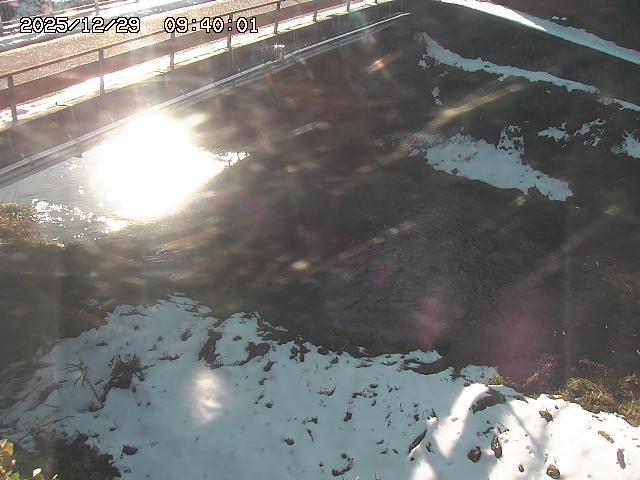 見槻川１2025/12/29 9:50:00