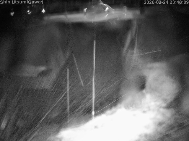 新内海川１2026/02/25 2:30:00