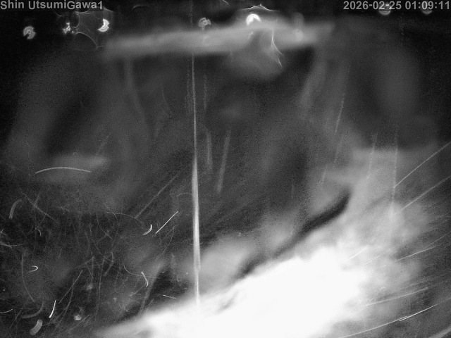 新内海川１2026/02/25 2:30:00