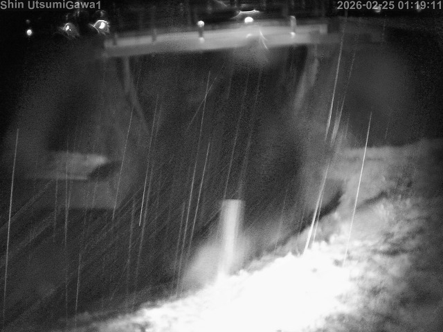 新内海川１2026/02/25 2:30:00