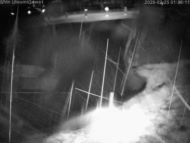 新内海川１2026/02/25 2:30:00