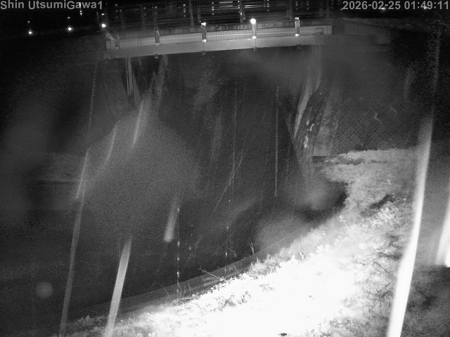 新内海川１2026/02/25 2:30:00