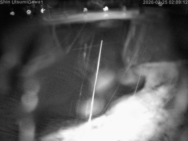 新内海川１2026/02/25 2:30:00