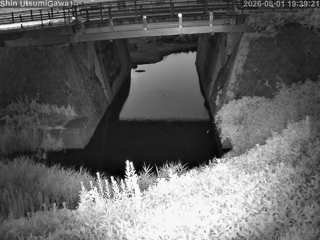 新内海川１2026/08/01 20:50:00