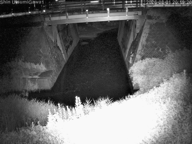 新内海川１2026/08/01 20:50:00