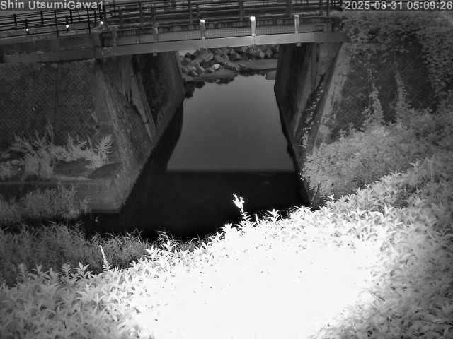新内海川１2025/08/31 9:10:00