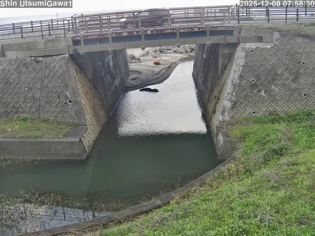 新内海川１2025/12/08 11:30:00
