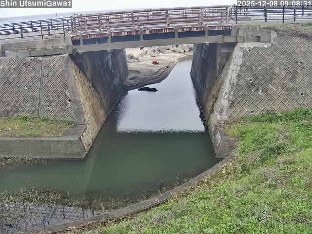 新内海川１2025/12/08 11:30:00