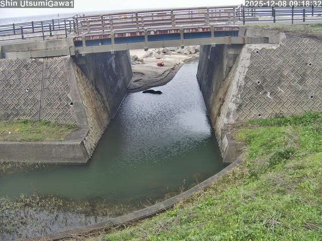 新内海川１2025/12/08 11:30:00