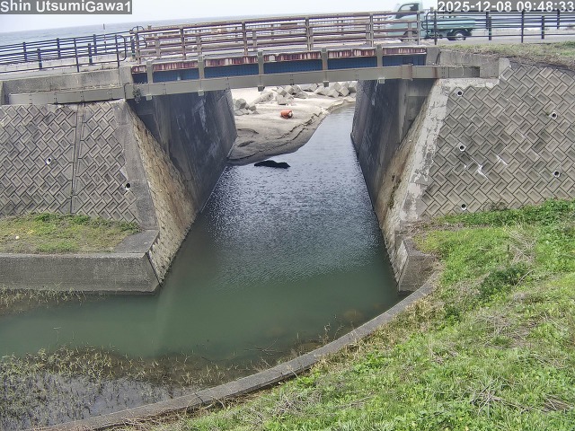 新内海川１2025/12/08 11:30:00