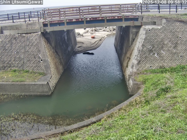 新内海川１2025/12/08 11:30:00